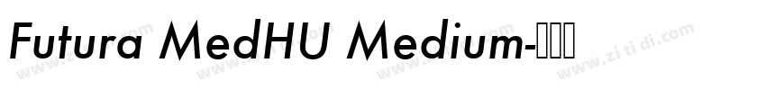 Futura MedHU Medium字体转换